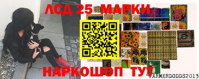 индика Гудермес