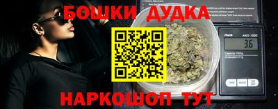 индика Гудермес
