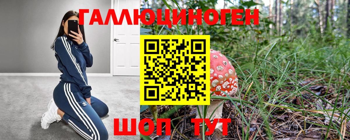 Галлюциногенные грибы мицелий  Вход с VPN  Псилоцибиновые грибы мицелий  Тверь 